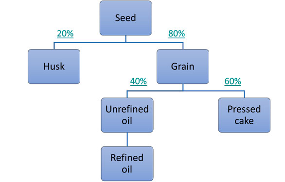 Production of the main and the by-products in the supply chain optimization model