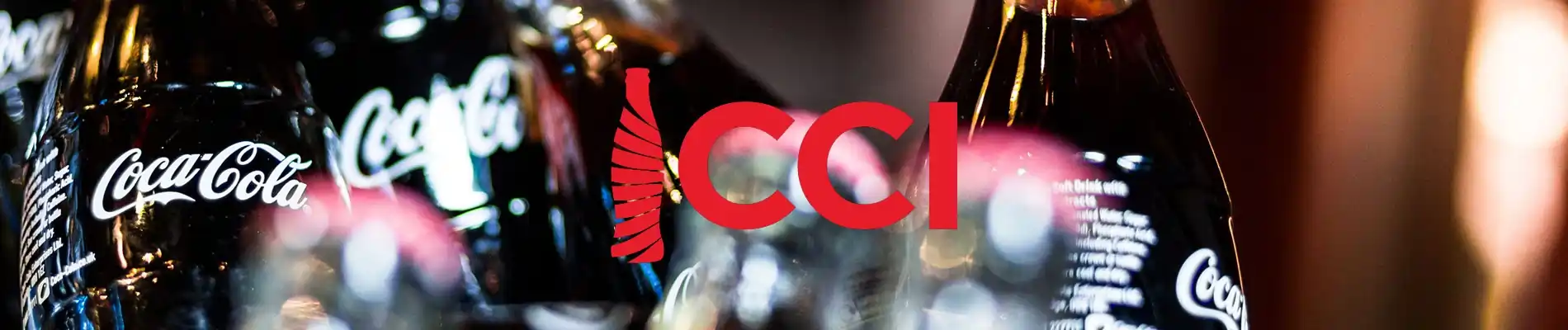 Coca-Cola İçecek’s supply chain optimization project